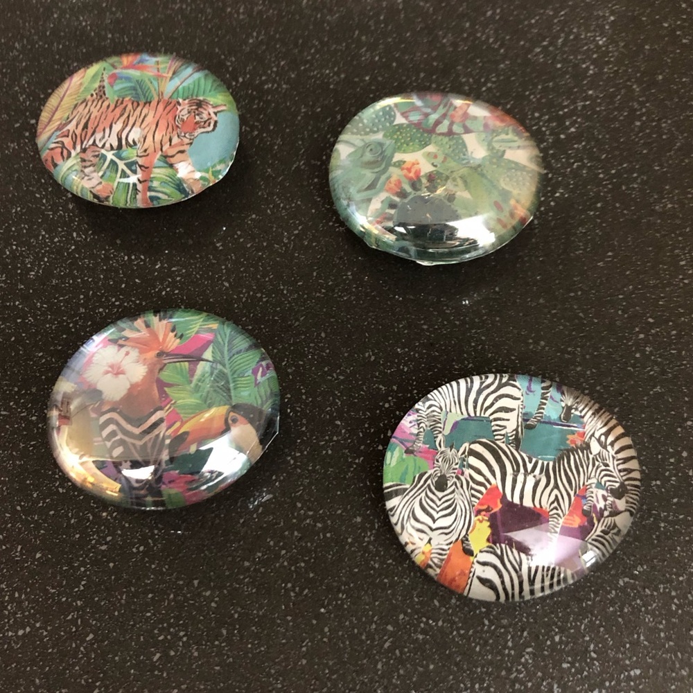 Fun tropical glass magnets 🦜🦓🐆🦎